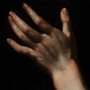 crypticlullaby avatar
