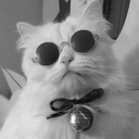 crypticvvitch avatar