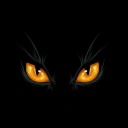 cryptid-amalgamation avatar