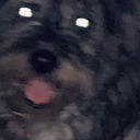 cryptid-bit-bit avatar