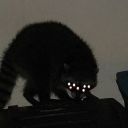 cryptid-hunters-1991 avatar