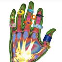 cryptid-punk1 avatar