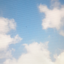 cryptid-rabbit avatar