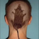 cryptidfuckery avatar