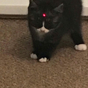 cryptidr-blog avatar