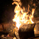 cryptidradish avatar