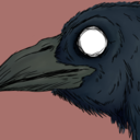 crypto-corvid avatar