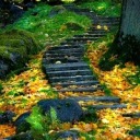 cryptohomorocker avatar