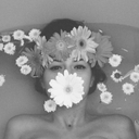 crystaised-blog avatar