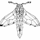 crystal--moth avatar