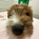 crystal-clear-contemplations avatar