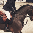 crystal-clear-round avatar