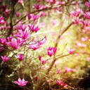 crystalchroniwell avatar