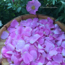 crystalearthgoddess518 avatar