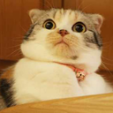 crystalhainline avatar