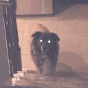 crystalizedanxiety avatar