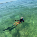 crystalizedconch avatar