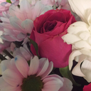 crystalizedmoon-x avatar