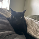 crystalizefire avatar