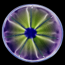 crystaljelly avatar