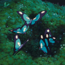 crystalline-knowledge avatar