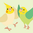 crystallinebird avatar