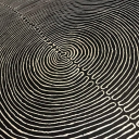 crystallizedcells avatar