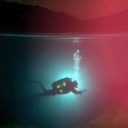 crystalmariereeddaily avatar