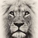 crystalsdance avatar