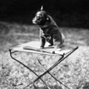 cryy-havoc-blog avatar