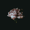 csakegygondolat97-blog avatar