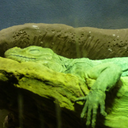 csi-baker-street avatar