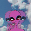 ctfoinsertwords avatar