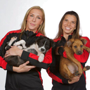 ctimes3doreme avatar