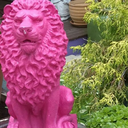 cuck-fuck-kid-blog avatar