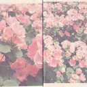 cuddleformation-blog avatar