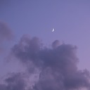 cuddlymashmallow avatar