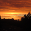 cuddlypumpkin avatar