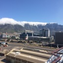 cuddlyscorpio avatar