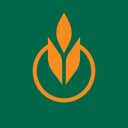 culinary-institute-of-america avatar