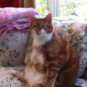 culinarycrystals avatar