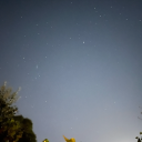 cultcultcultcult avatar