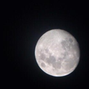 cultinthecorner avatar