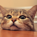 cultiva-tumente avatar