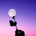 cultofasherah avatar