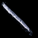 cum-and-cocaine avatar