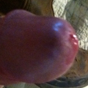 cum-piss-sweat avatar