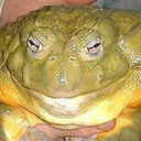 cumallyefaithful avatar