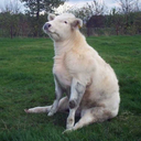 cumberpudding avatar