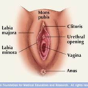 cuntcuntcuuunt-blog avatar